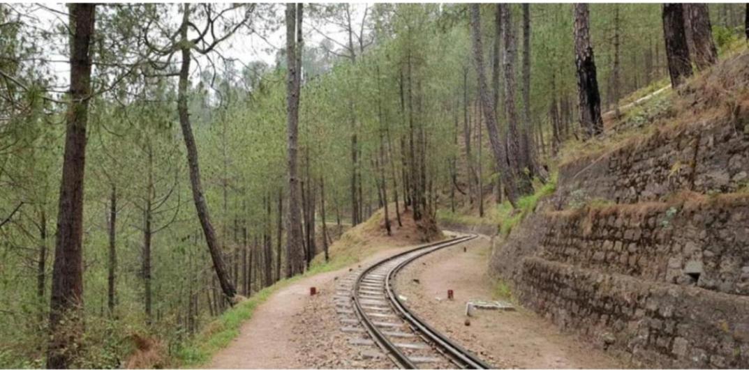 The Kasauli Western Uphills I Serviced Apartments I Pvt Balcony I Peacefull Area I By Exotic Stays Esterno foto